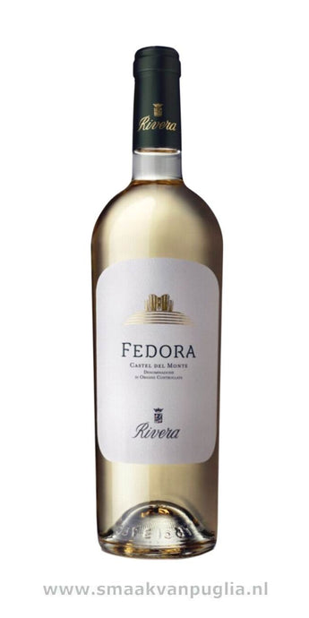 FEDORA - CASTEL DEL MONTE (Rivera) wit