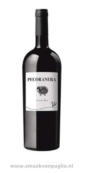 PECORANERA NERO DI TROIA PUGLIA ROSSO IGP (Cantine Risveglio)