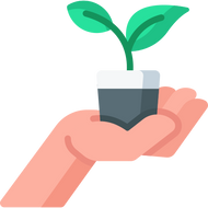 Plant een boom